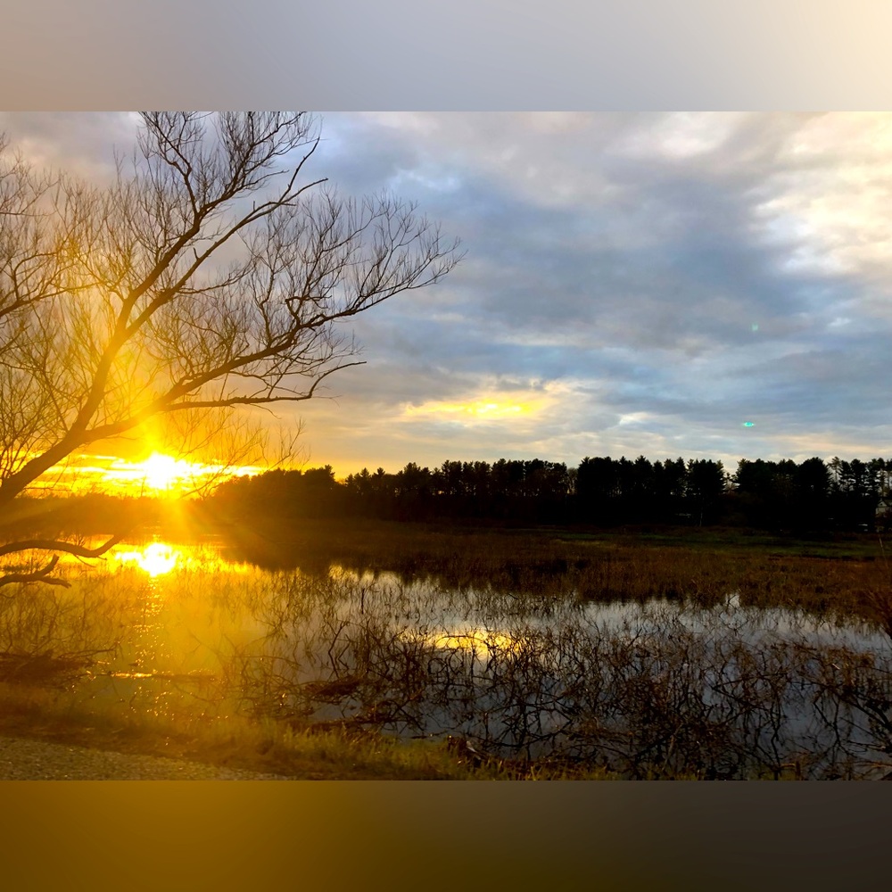 Sunset photos!